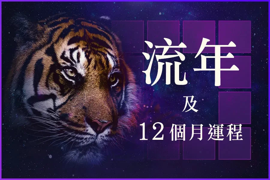 Plan 1 - 流年及12個月運程 - Szemei711 官方網站